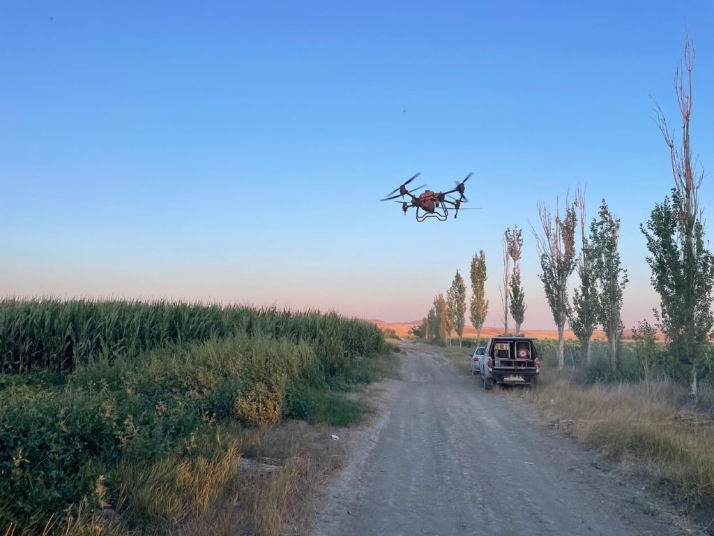 Improving Corn Yields With Agras T40 Drones in Turkey
