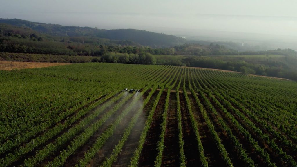 Transforming Vineyard Spraying in Romania with Drone Technology